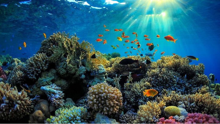 visitphuquoc