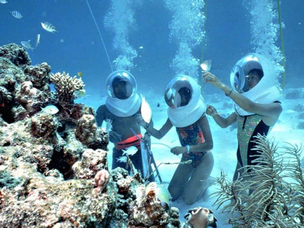 Nam đảo Phú Quốc sở hữu khu vực lặn ngắm san hô đẹp, dễ tiếp cận.