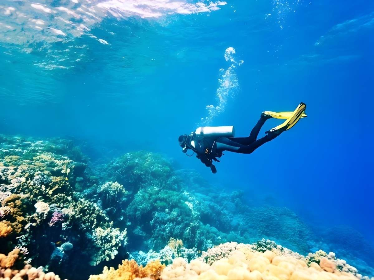 Scuba diving là hình thức lặn sử dụng bình khí, phù hợp để khám phá các rạn san hô ở độ sâu lớn tại Phú Quốc.