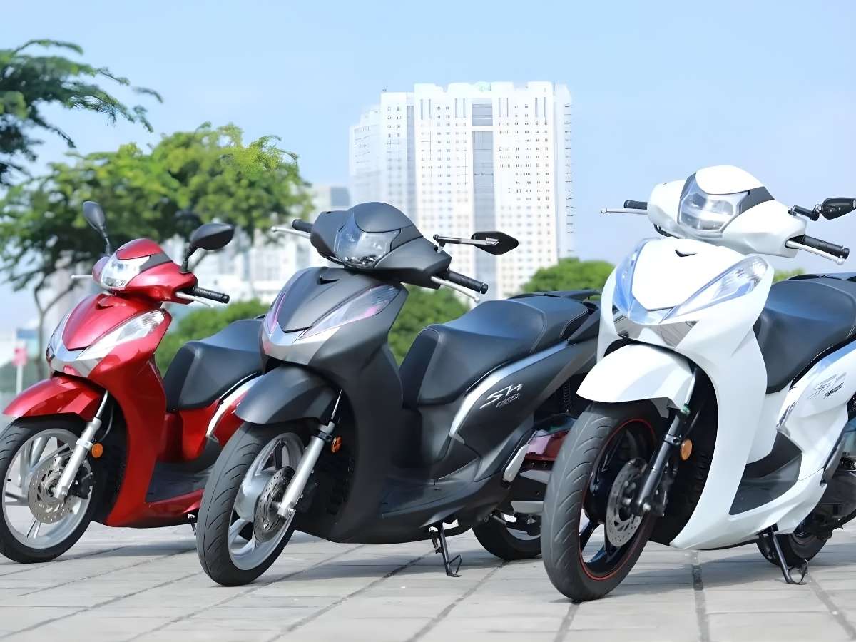 Các dòng xe máy phổ biến thường được cho thuê tại Phú Quốc gồm xe số và xe tay ga