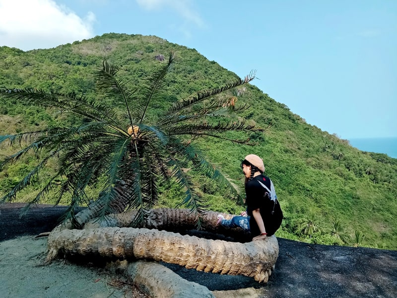 Đường trekking lên Đỉnh Ông Rồng khá dễ dàng cho cả những người lần đầu leo núi
