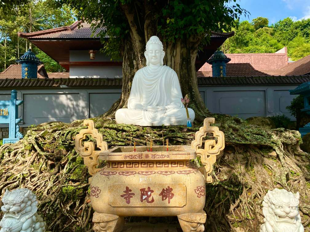 Sáng sớm hoặc chiều muộn là thời điểm thích hợp để du khách và người dân ghé chùa