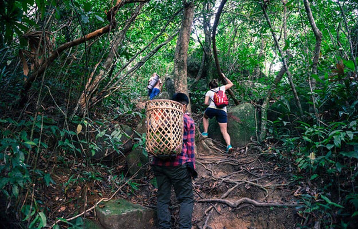 Cung đường trekking thẳng từ chân núi là dễ nhất, phù hợp với cả người mới bắt đầu