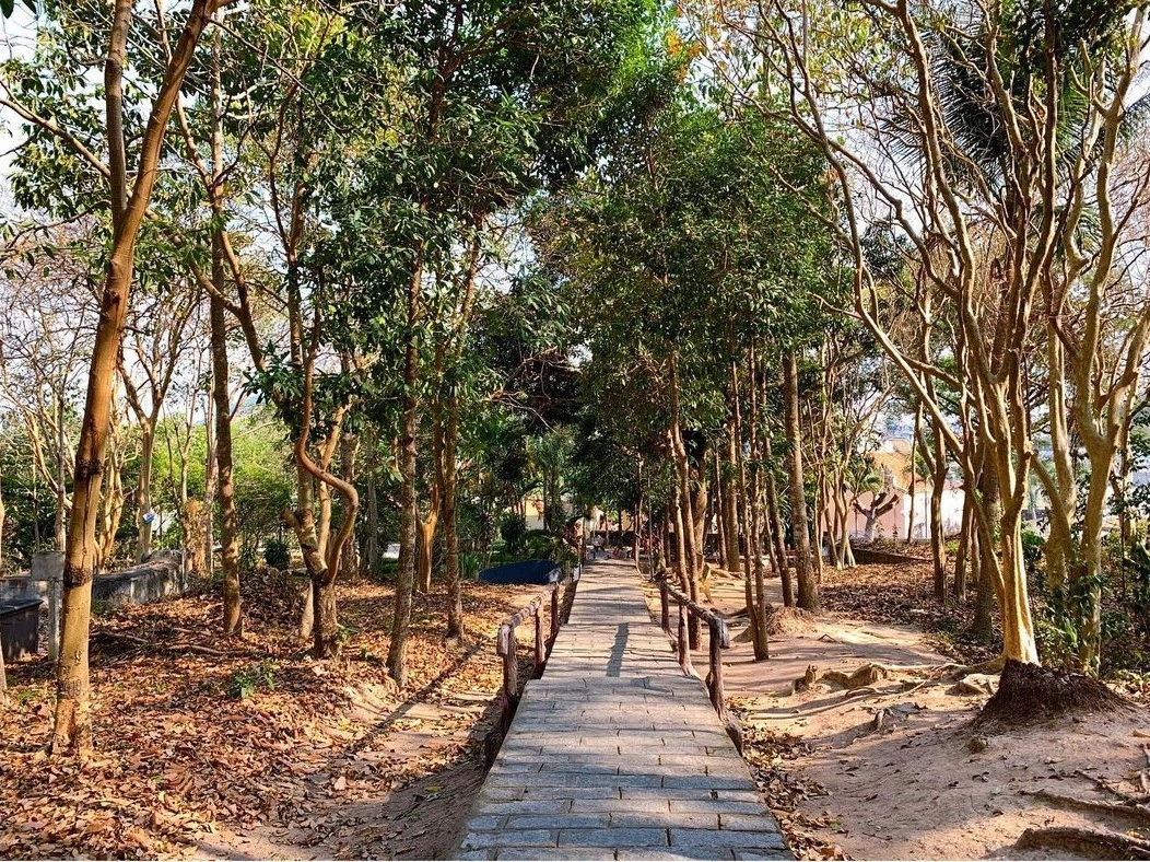 Núi Bình San nằm ngay trung tâm thành phố nên rất tiện di chuyển