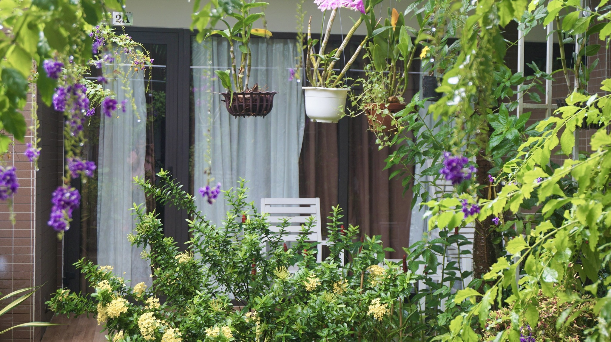 Không gian xanh mát tại bungalow gây ấn tượng với nhiều du khách