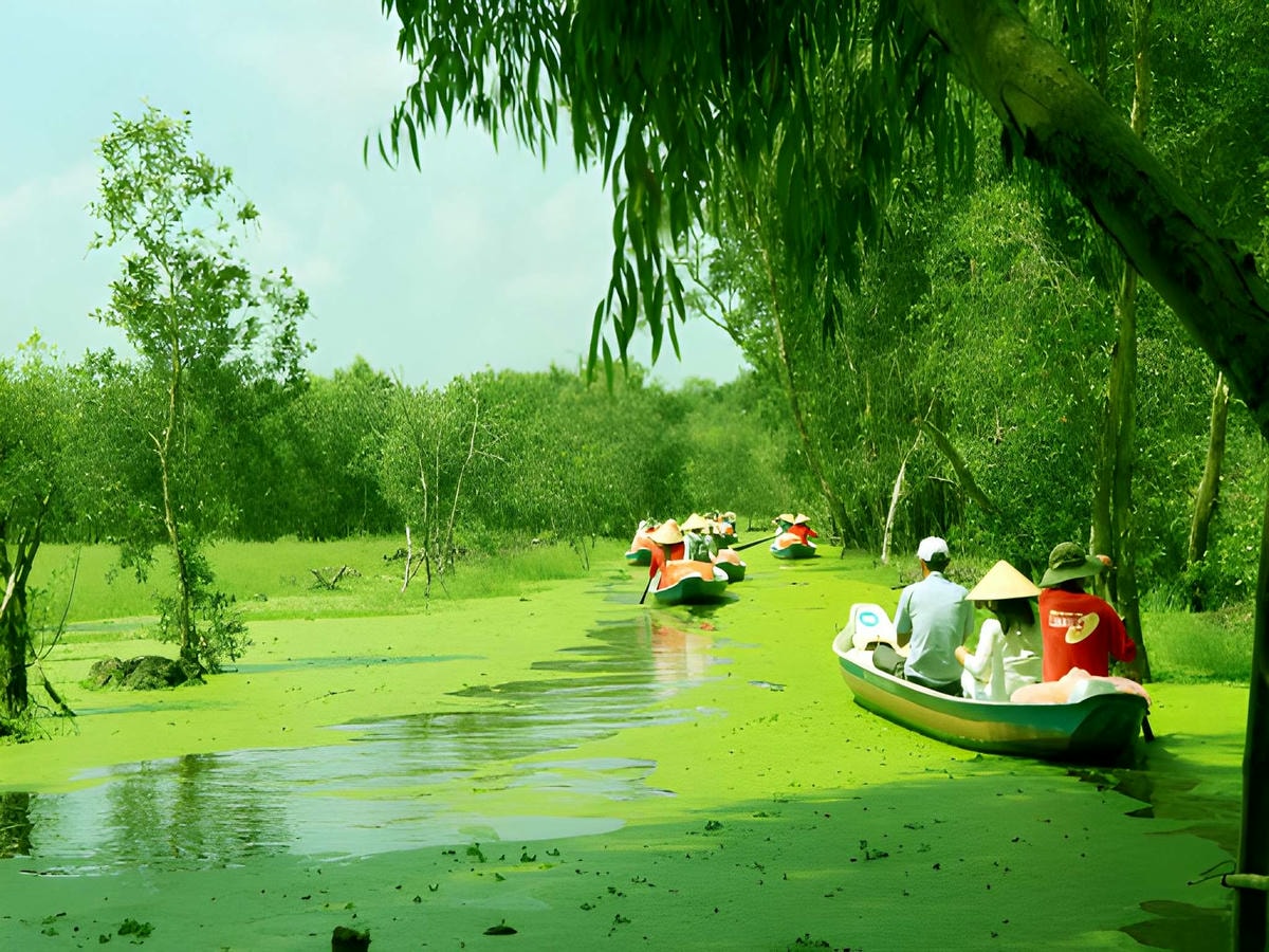 Thời điểm nước nổi giúp rừng tràm Trà Sư thể hiện trọn vẹn vẻ đẹp tự nhiên.