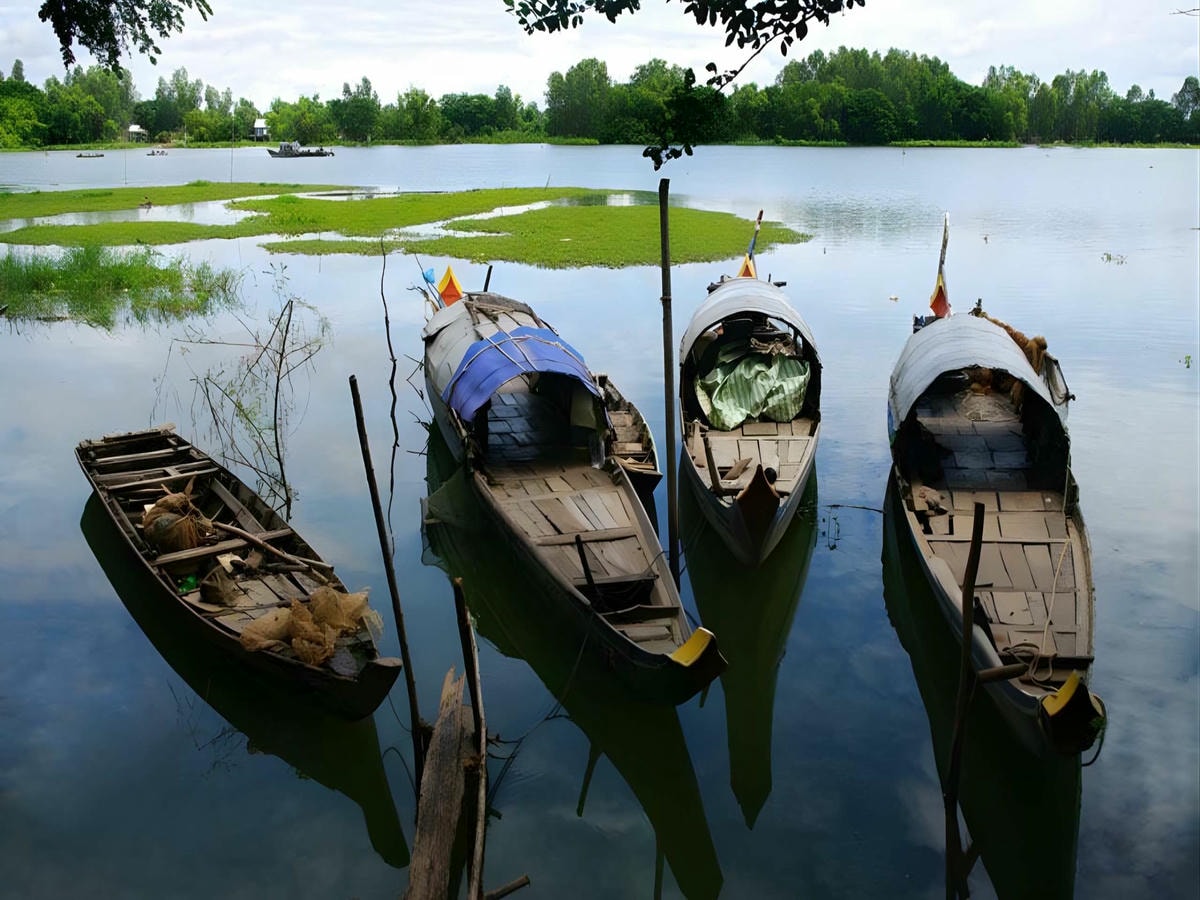 Búng Bình Thiên nổi bật vị trí địa lý đặc biệt và cảnh quan thiên nhiên sông nước An Giang.