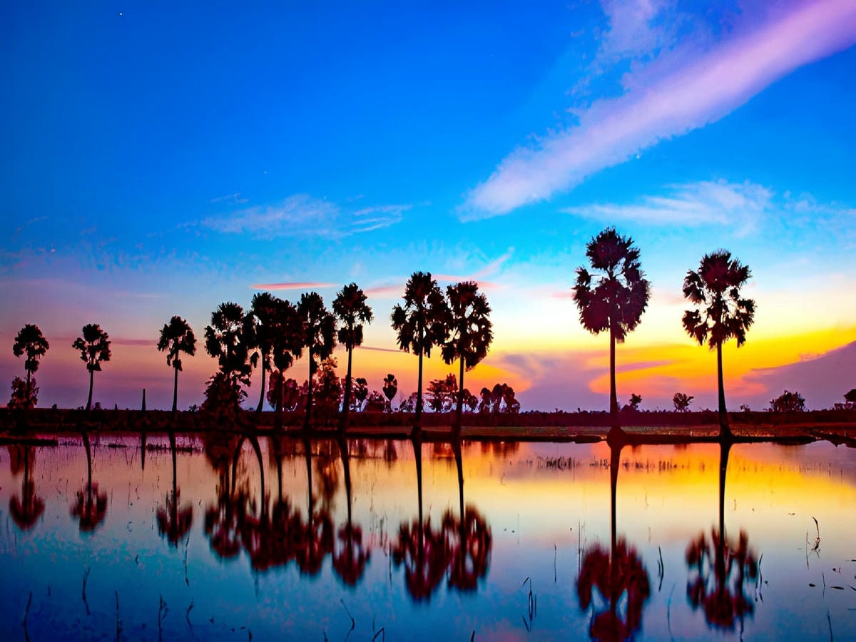 Mùa nước nổi tạo nên khung cảnh đặc trưng miền Tây tại các cánh đồng Tri Tôn.