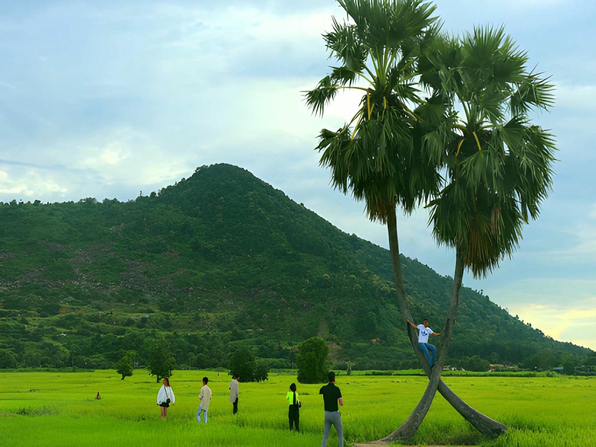 Check in giữa cánh đồng thốt nốt giúp cảm nhận nhịp sống bản địa Tri Tôn.