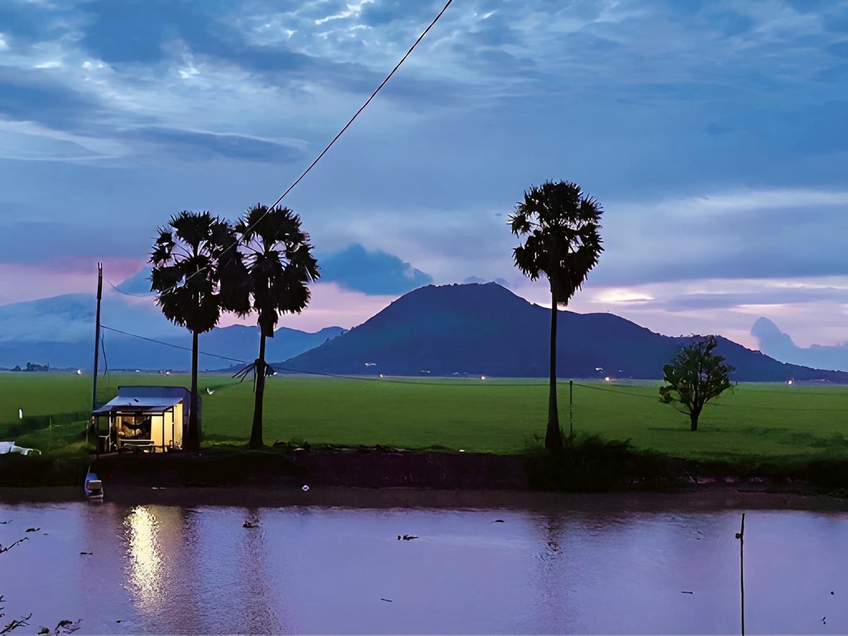 Thời điểm mùa nước nổi là lúc thích hợp để ghé thăm cảnh đồng Tri Tôn.