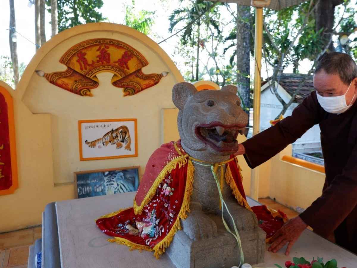 Buổi sáng sớm và cuối chiều là thời điểm lý tưởng để cảm nhận trọn vẹn sự yên bình của Cù lao Ông Hổ.