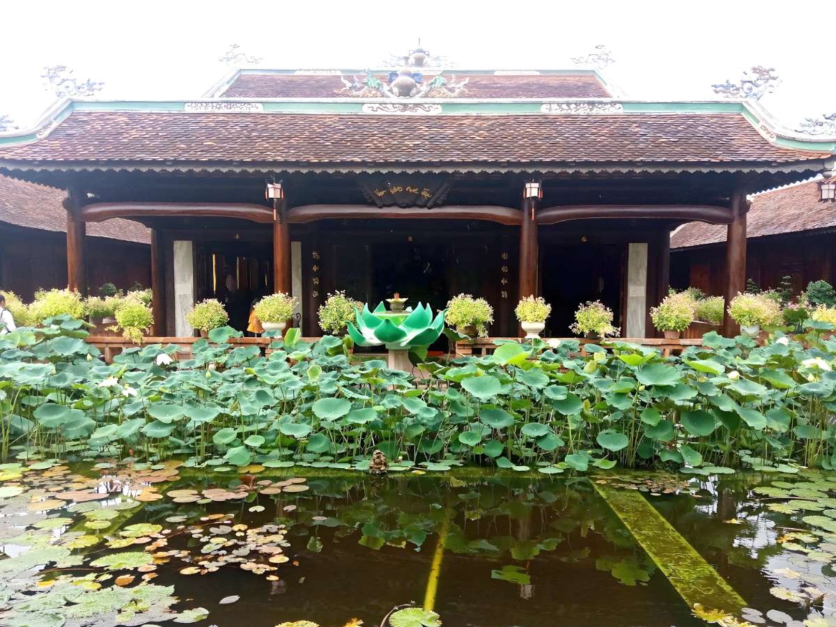 Thời điểm tham quan Vạn Hương Mai vào buổi sáng giúp cảm nhận trọn vẹn không gian xanh và yên bình.