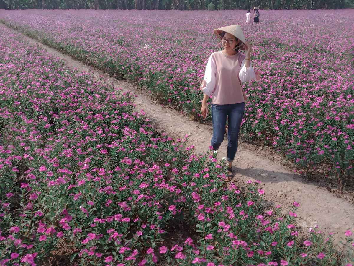Vườn hoa dừa cạn trở thành điểm dừng chân ngắn giúp cân bằng nhịp tham quan du lịch.