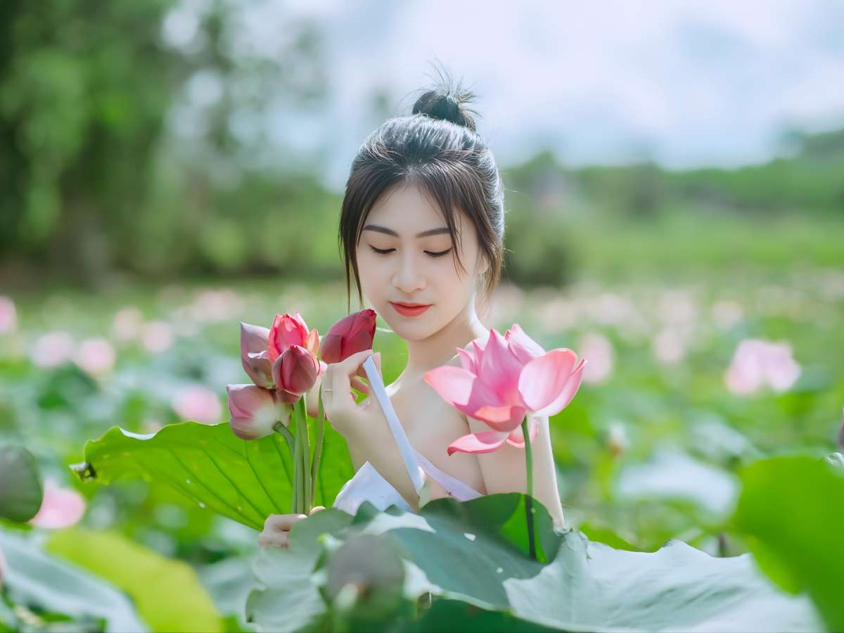 Cảnh quan sen Tri Tôn tạo trải nghiệm tham quan nhẹ nhàng, phù hợp du lịch chậm và chụp ảnh