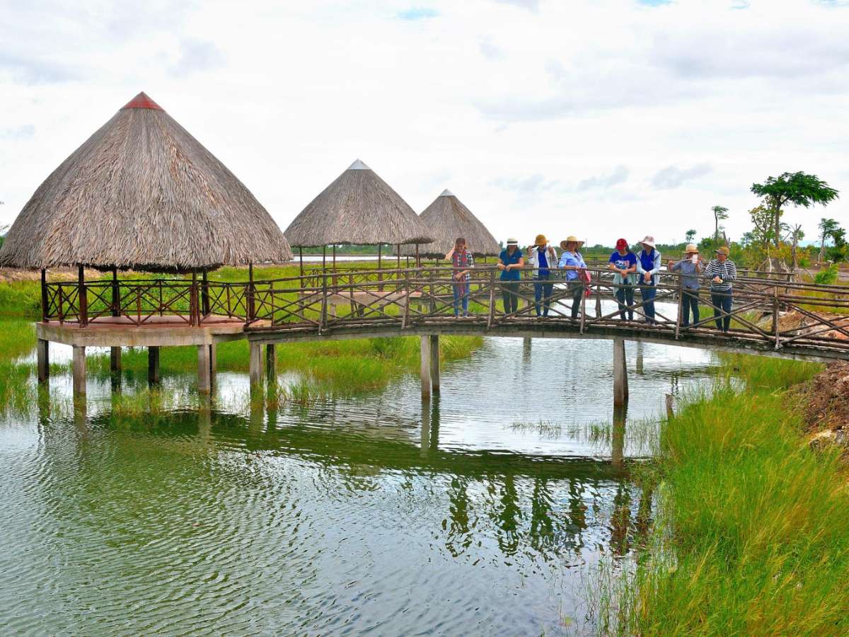 Hoạt động tham quan Đầm Đông Hồ mang đến trải nghiệm gần gũi cảnh quan sông nước.