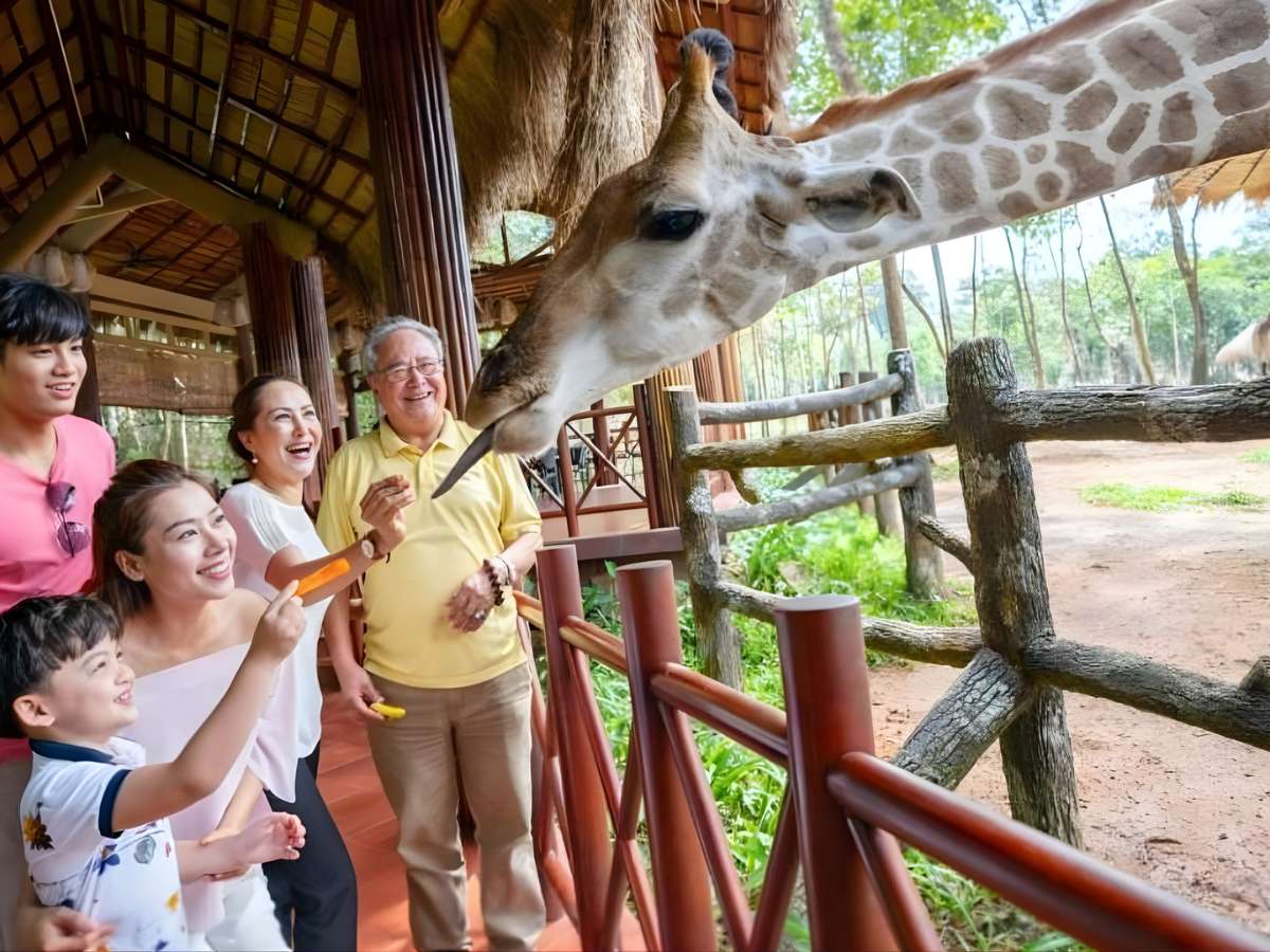 Lịch trình nghĩ dưỡng kết hợp tham qua Vinpearl Safari mang đến trải nghiệm ấn tượng. 