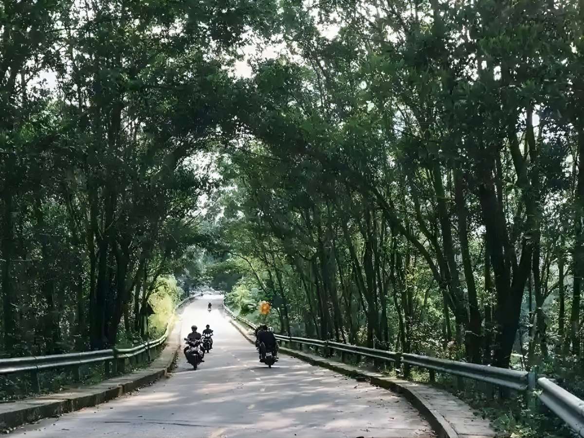 Đường di chuyển đến khu vực núi Cấm không quá dài.