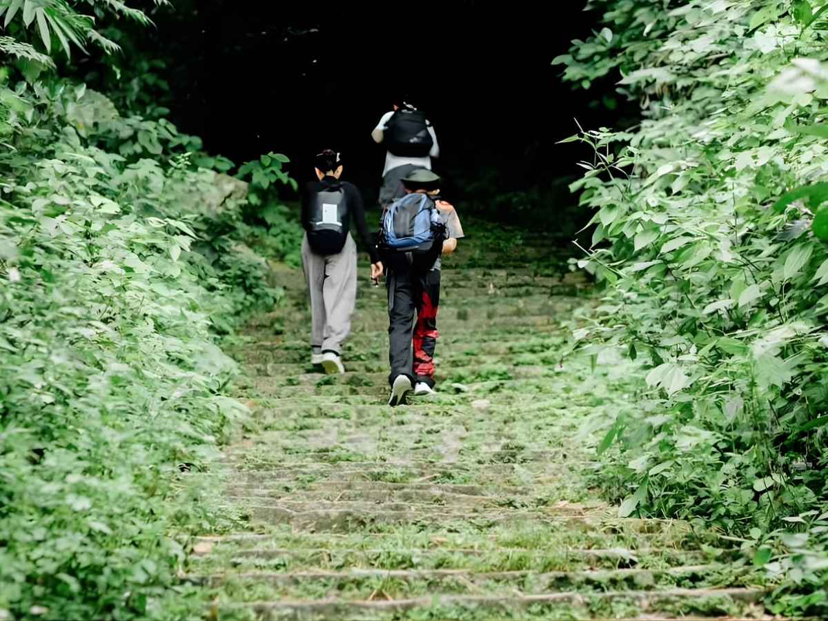 Hành trình xuyên rừng xanh mát tạo trải nghiệm yên bình cho người khám phá vào giai đoạn tháng 11 đến tháng 4.