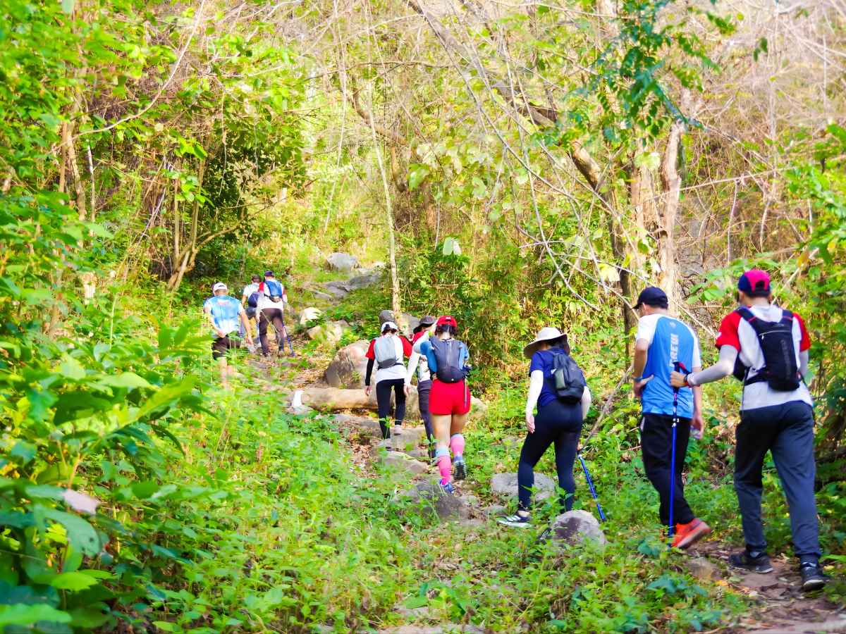 Du khách chinh phục lối mòn rừng núi An Giang trong hành trình khám phá Vồ Thiên Tuế.