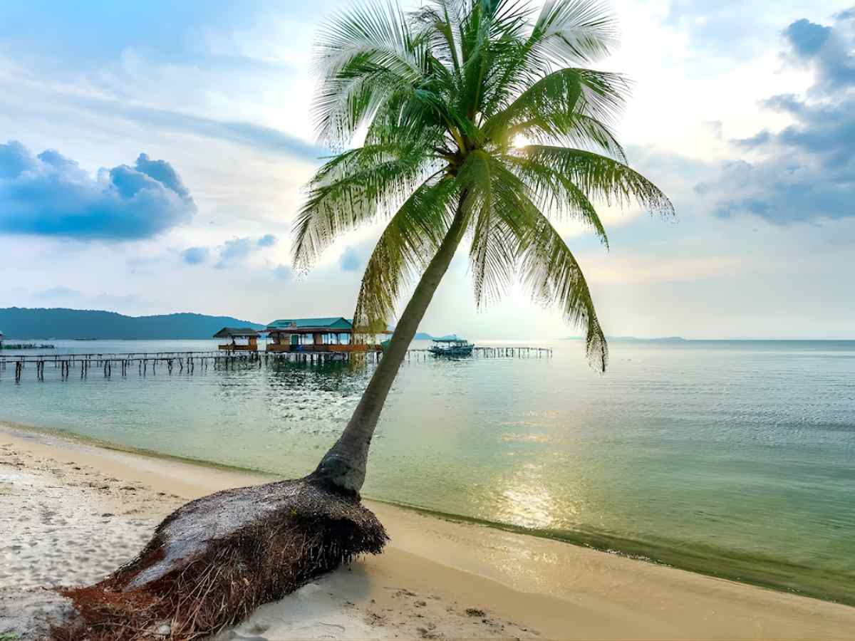 Từ Daisy Resort Phú Quốc quý khách có thể nhanh chóng di chuyển đến với hành trình khám phá Nam Đảo.