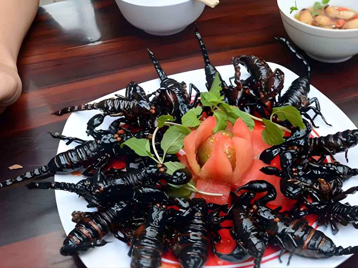Thưởng thức món bò cạp rất phù hợp với bối cảnh không gian miền núi.
