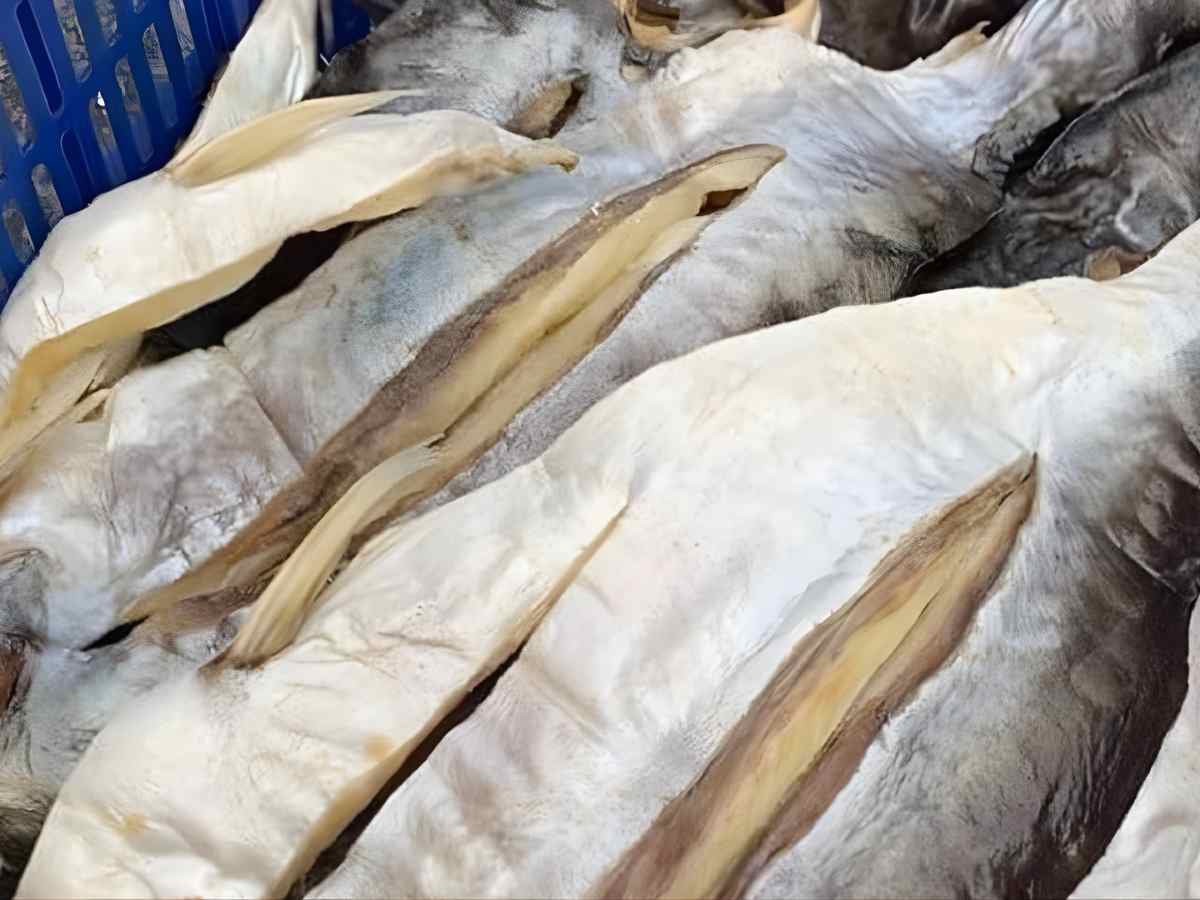 Khô cá tra góp phần định hình trải nghiệm ẩm thực địa phương trong du lịch hiện đại.