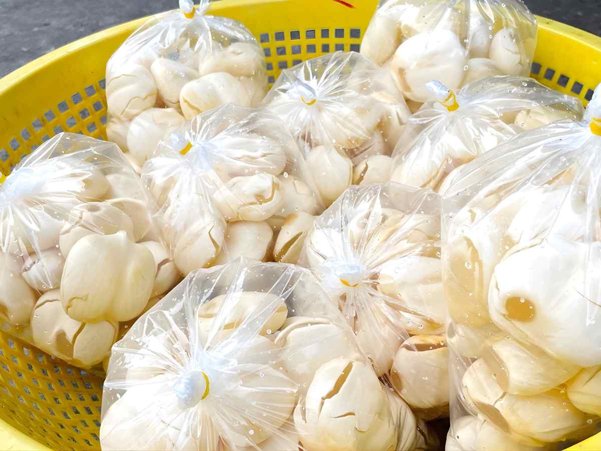 Trái thốt nốt tươi mang hương vị tự nhiên và giá trị sử dụng quen thuộc.