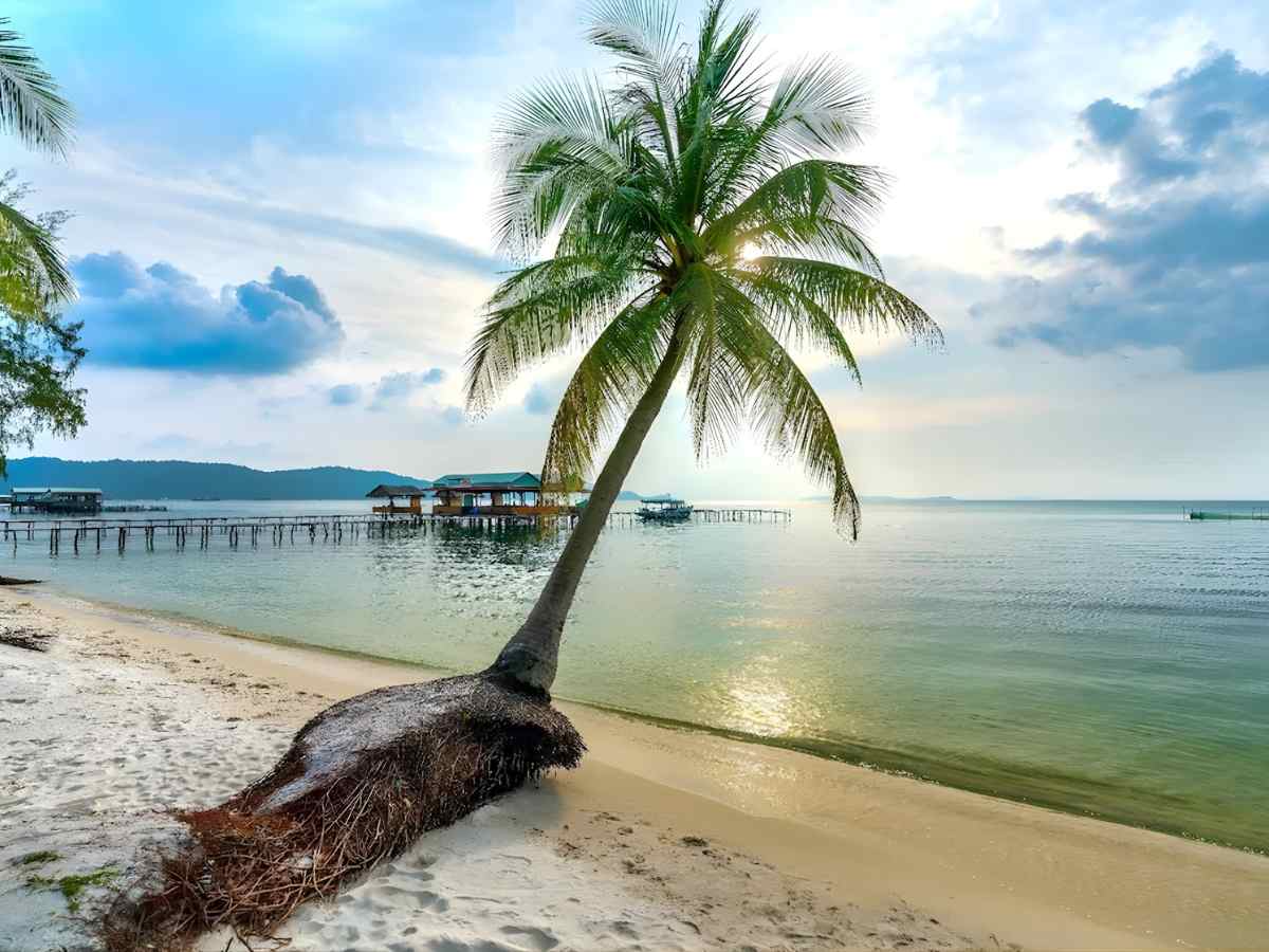 Brenta Phu Quoc Hotel phù hợp du khách năng động yêu thích biển và di chuyển linh hoạt.