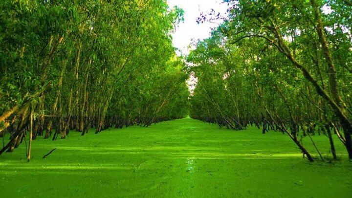 visitphuquoc