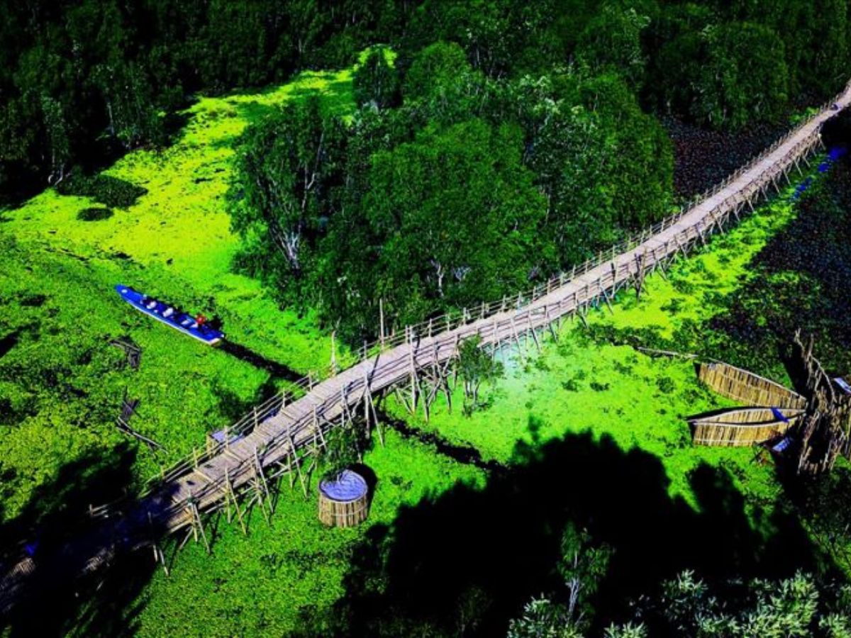 Du khách trải nghiệm đi cầu tre xuyên rừng tràm Trà Sư.