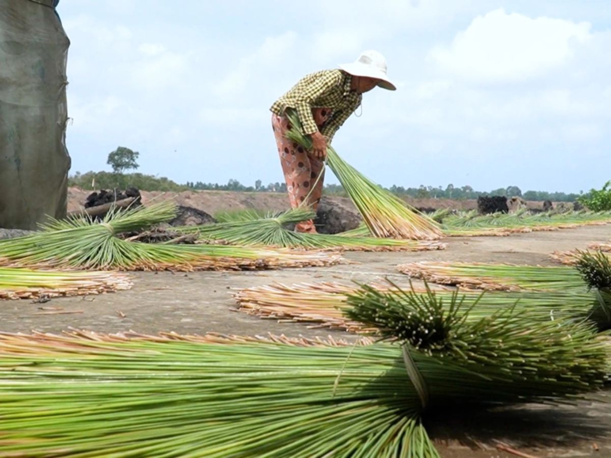 Du khách di chuyển vào trong làng nghề và tham quan tại các hộ dân sản xuất đan truyền thống.