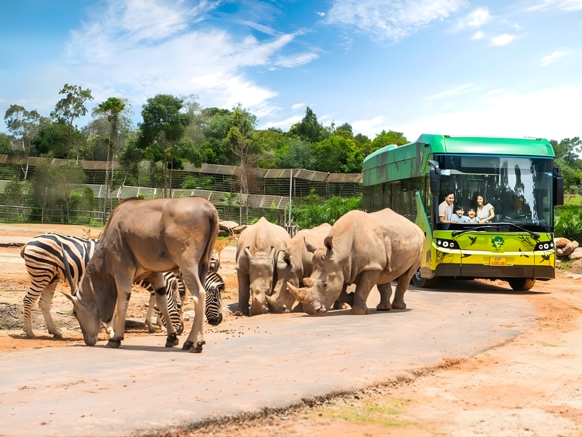 Trải nghiệm nhốt người thả thú tại khu Safari hoang dã.