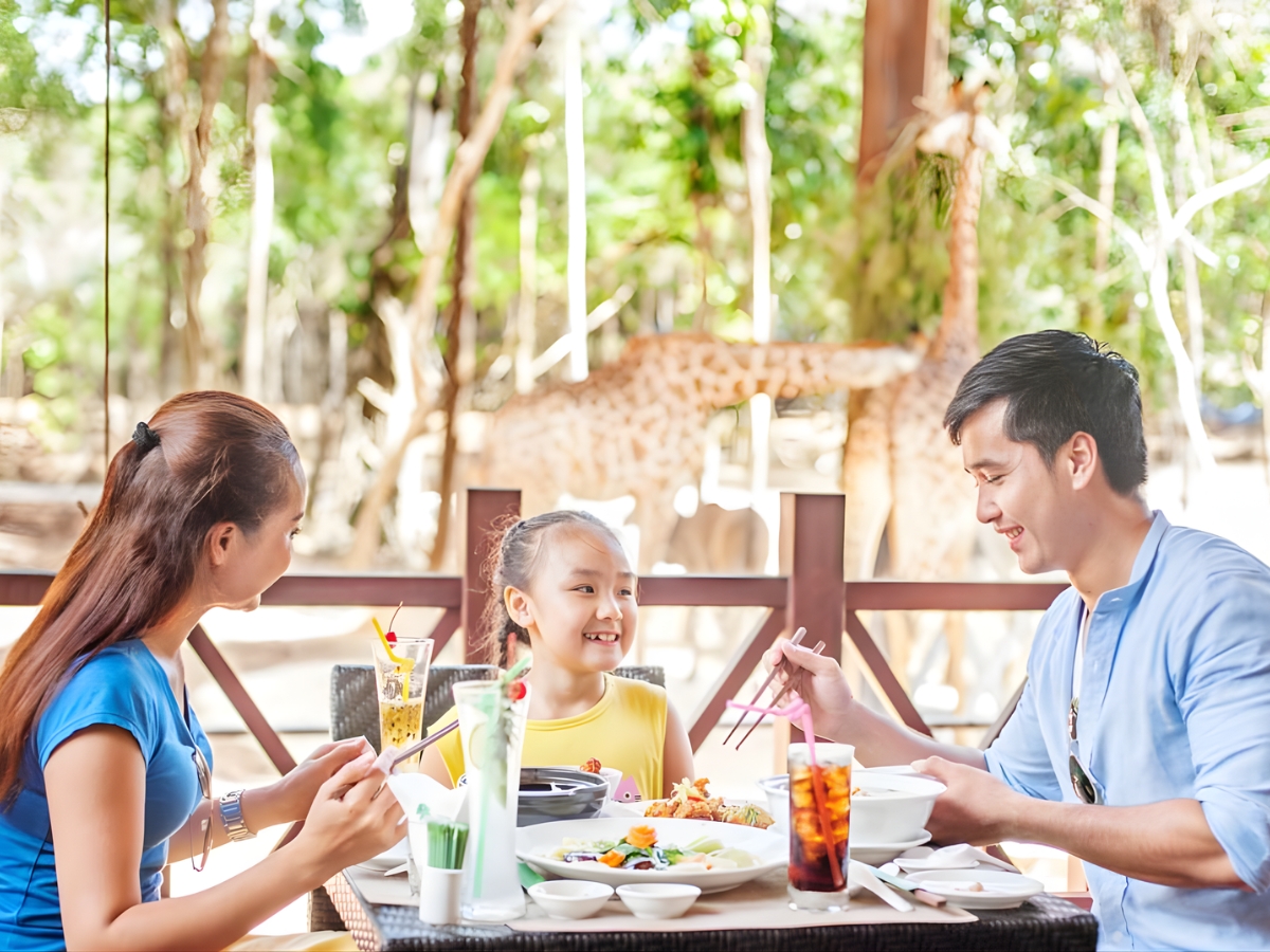 Thưởng thức bữa ăn tại nhà hàng Giraffe và giao lưu với những chú hươu cao cổ đáng yêu.