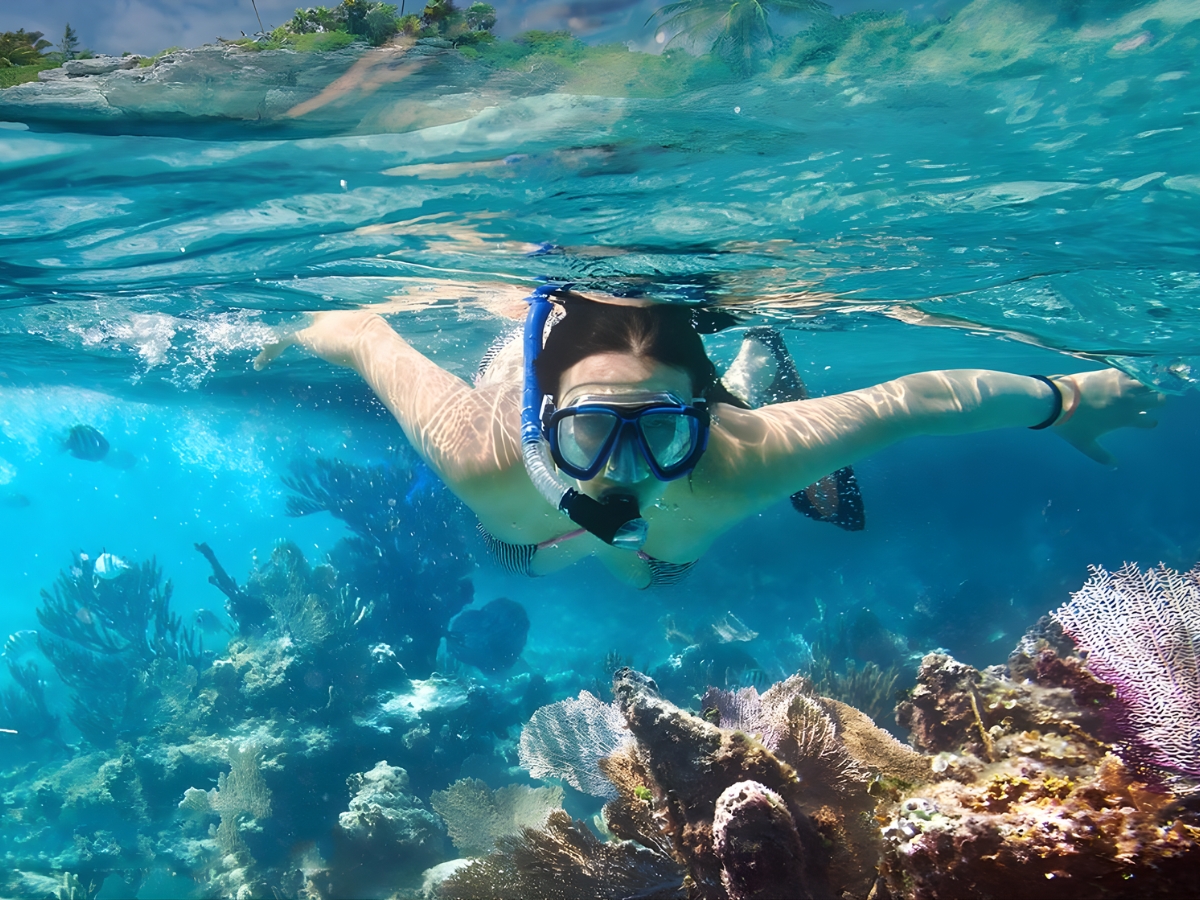 Snorkeling nhẹ nhàng ngắm san hô tại hòn Đồi Mồi.