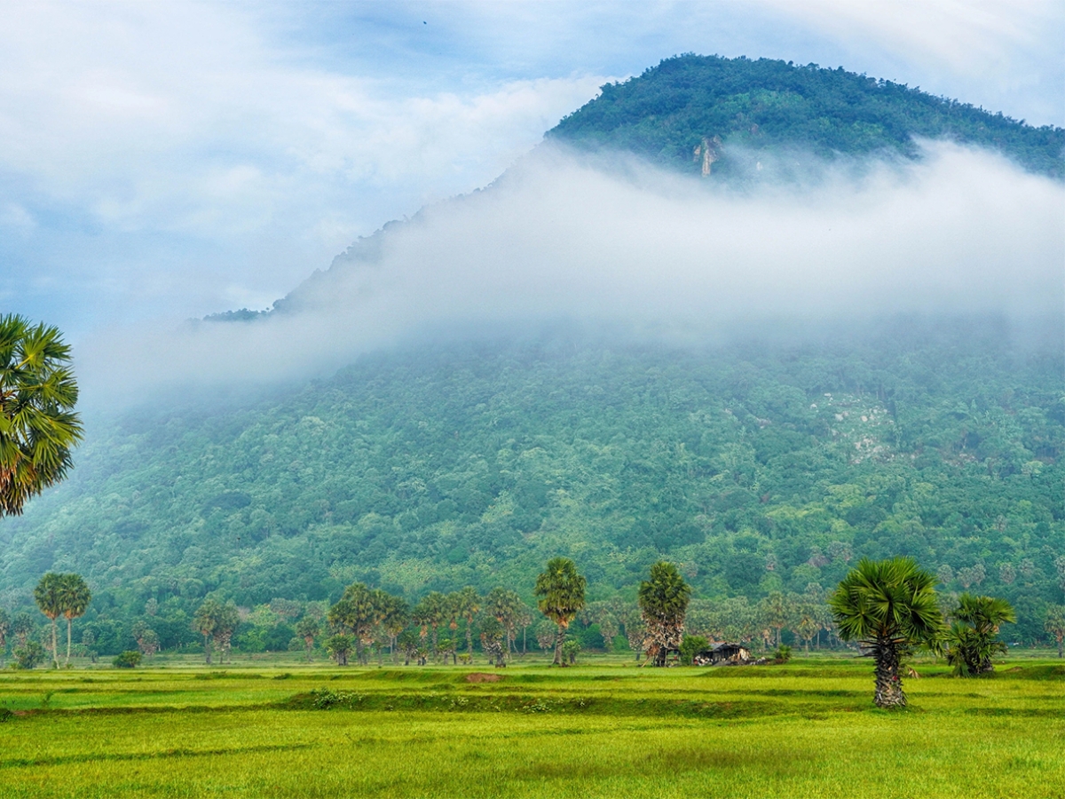 Núi Cấm là ngọn núi cao nhất trong dãy Thất Sơn. 