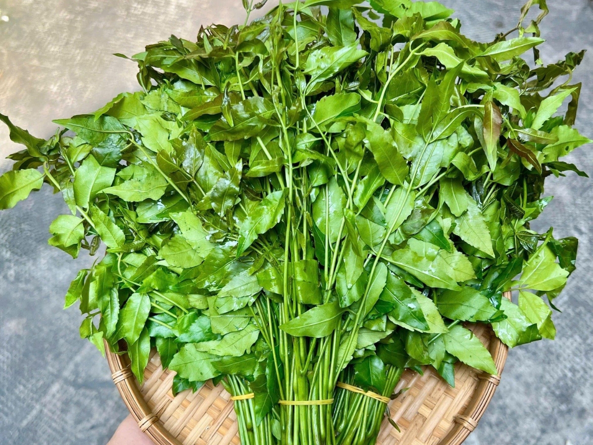 Lá sầu đâu là nguyên liệu chính làm nên nét riêng khó lẫn cho món ăn.