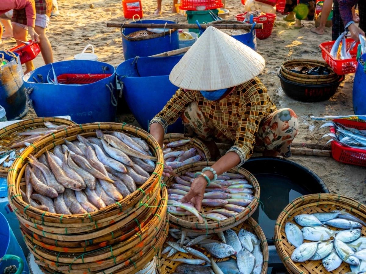 Hòn Thơm là vùng biển trù phú với nguồn hải sản tươi rói được đánh bắt mỗi ngày. (Nguồn: Sưu tầm)