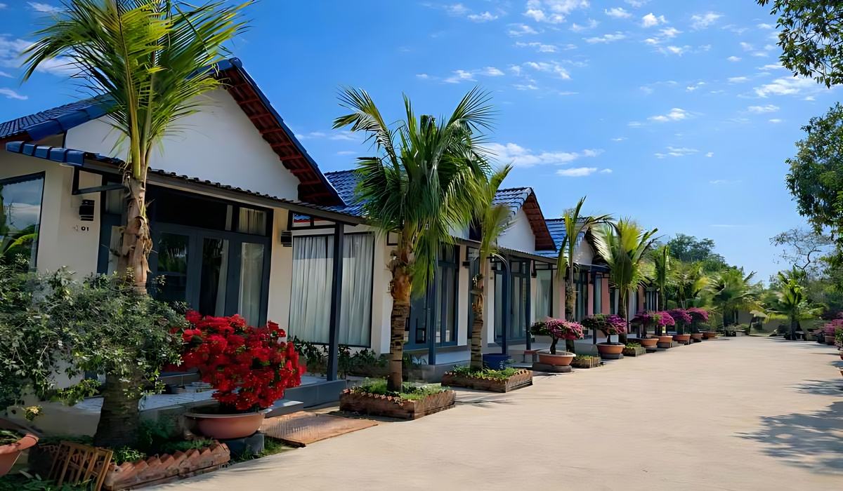 The Fish Phú Quốc homestay xanh mát, bungalow riêng, không gian yên tĩnh