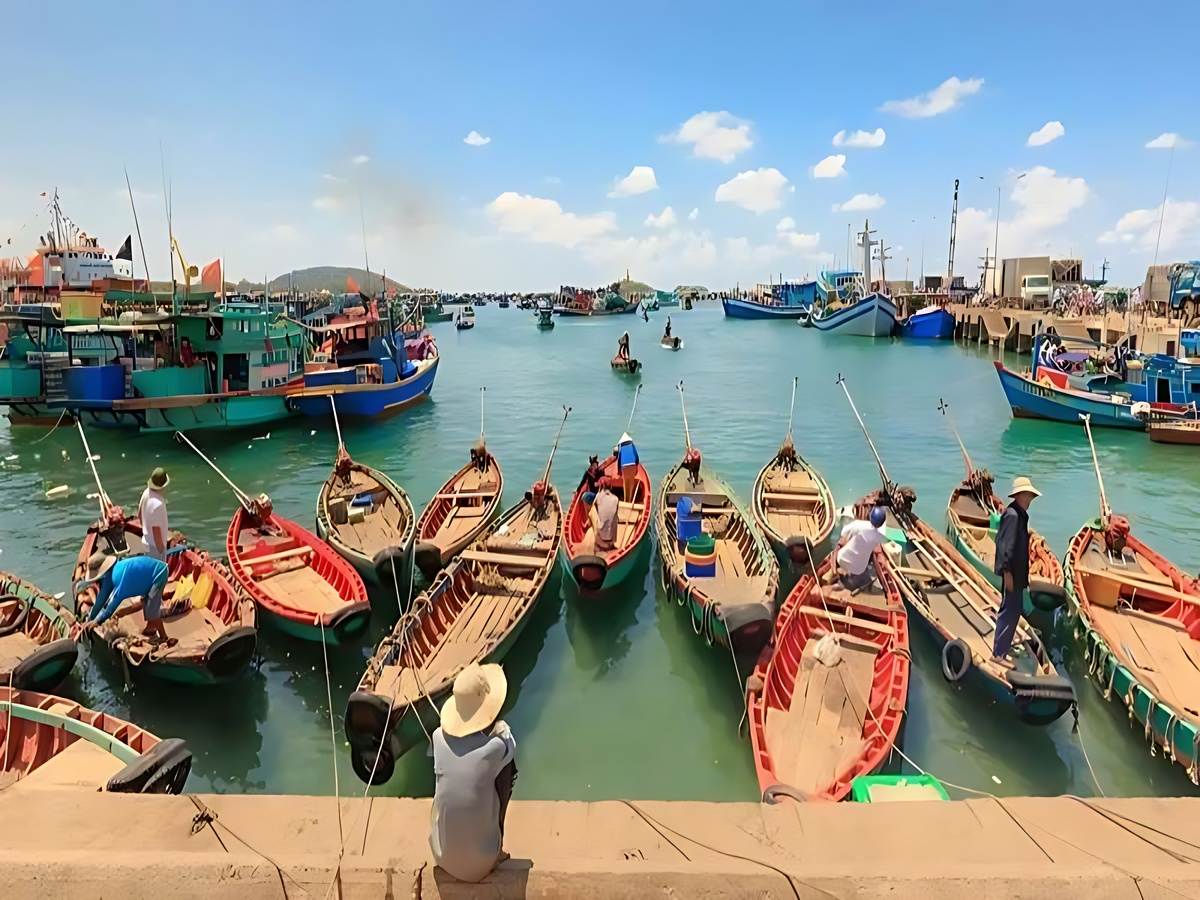 Những mẻ hải sản tươi ngon vừa được đánh bắt từ biển đưa vào bờ tại Hàm Ninh. (Nguồn: Sưu tầm) Không gian mộc mạc với nhà bè và cầu gỗ tạo nên trải nghiệm gần gũi thiên nhiên. Hoạt động đánh b