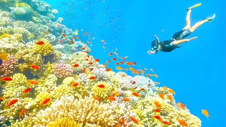 visitphuquoc