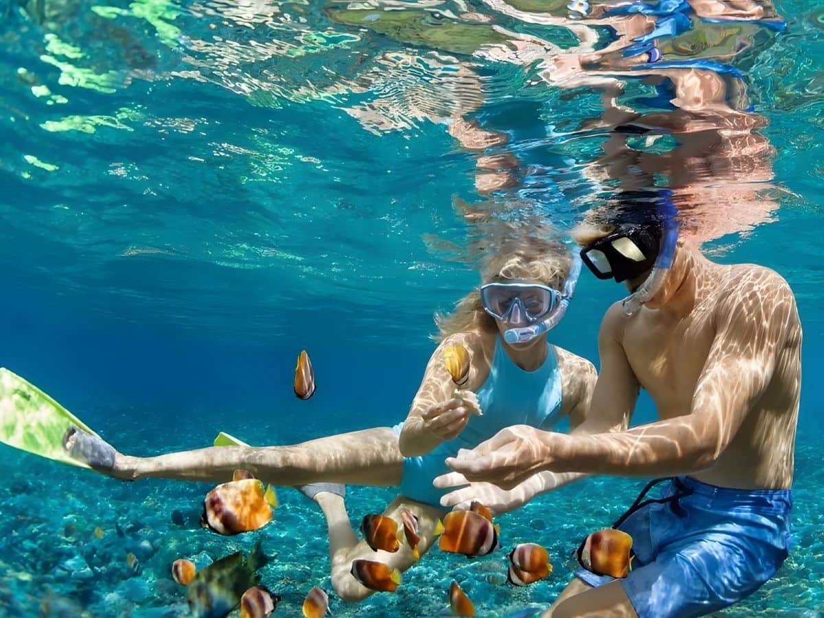 Thời tiết đóng vai trò quan trọng đối với chất lượng trải nghiệm snorkeling
