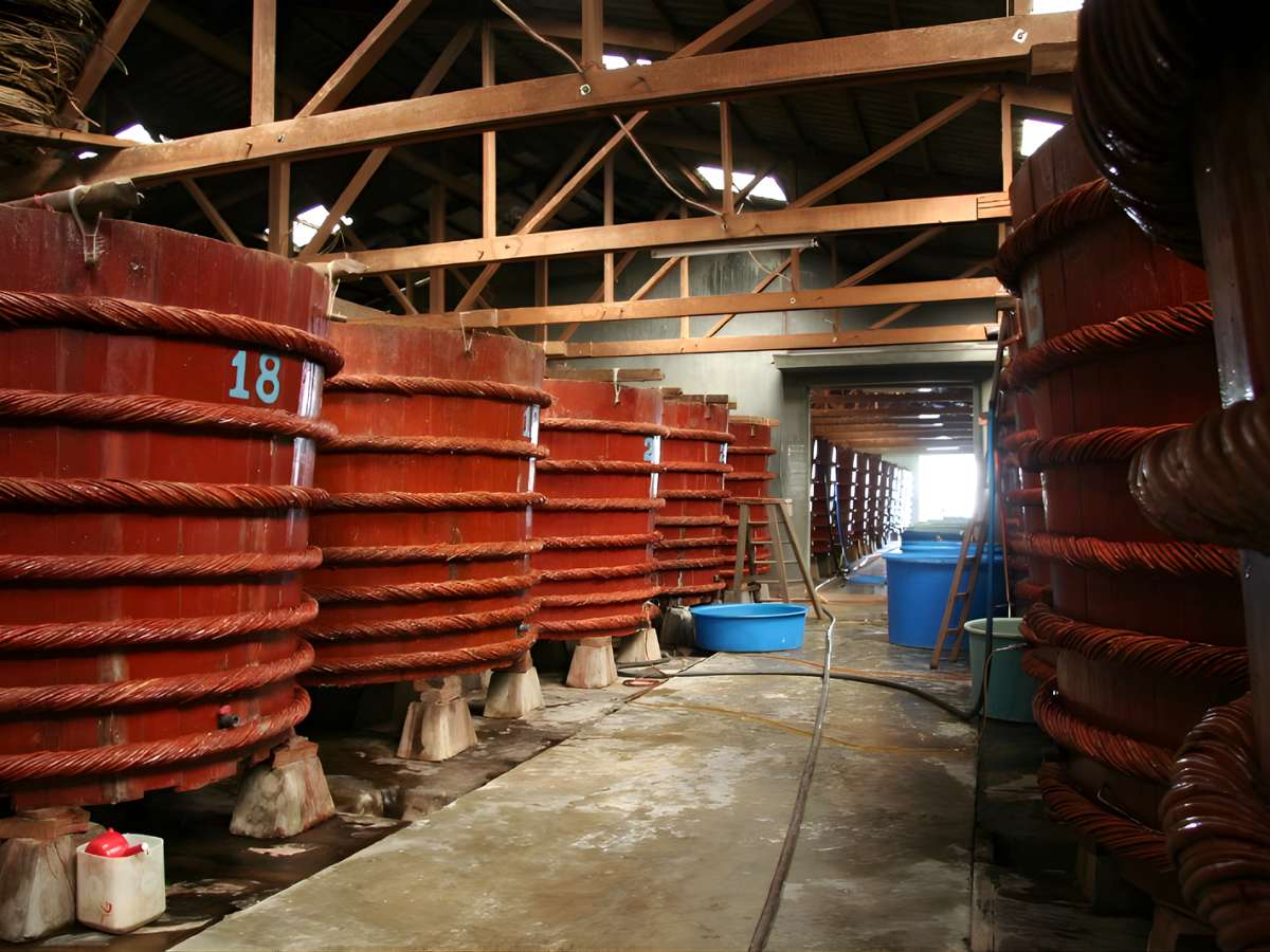Quy trình sản xuất nước mắm Phú Quốc sử dụng phương pháp ủ chượp cá cơm