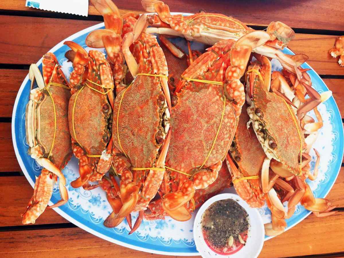 Những món ăn phổ biến gồm ghẹ Hàm Ninh, gỏi cá trích và nhum biển nướng.