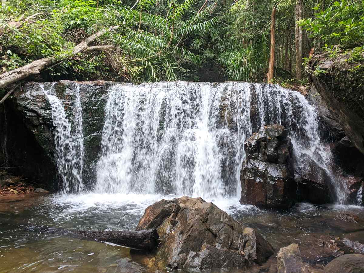 Tên gọi suối Tranh xuất phát từ khung cảnh thiên nhiên nơi rừng cây.