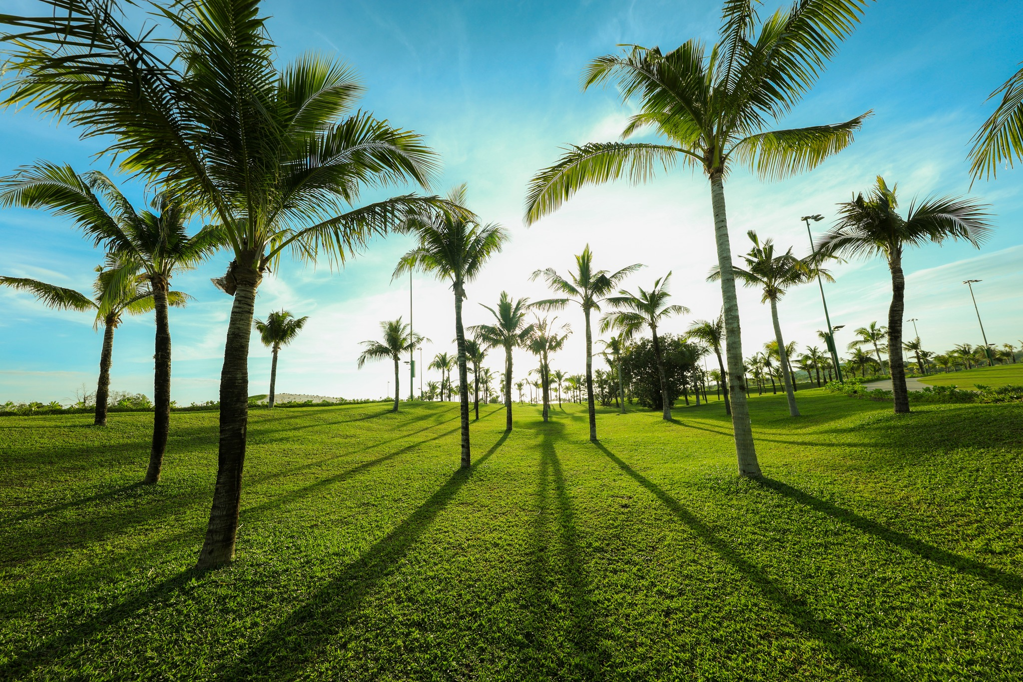 Không gian xanh mát của Eschuri Vung Bau Golf.