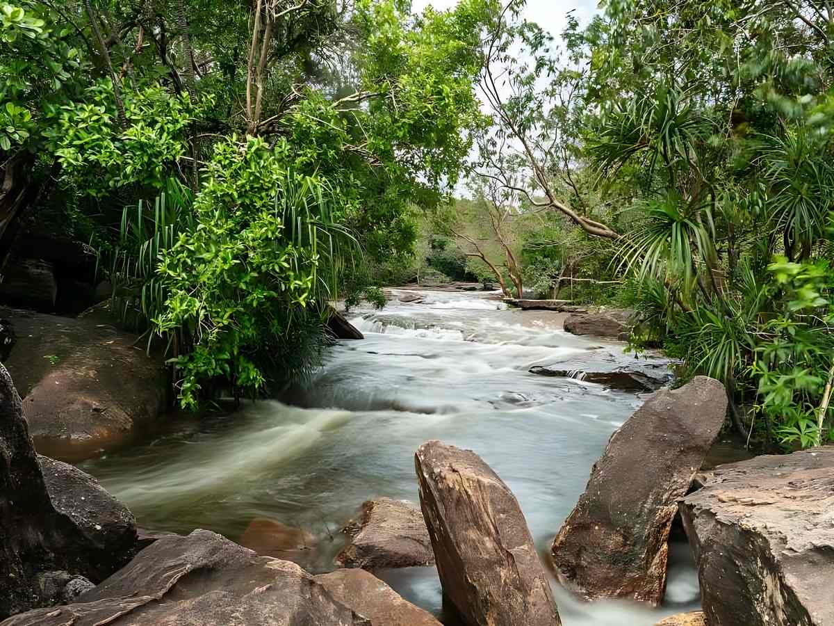 Khám phá Hòn Gầm Ghì với làn nước trong và san hô tự nhiên.