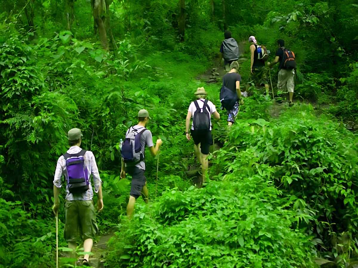 Du khách trekking xuyên rừng nguyên sinh Phú Quốc an toàn. 