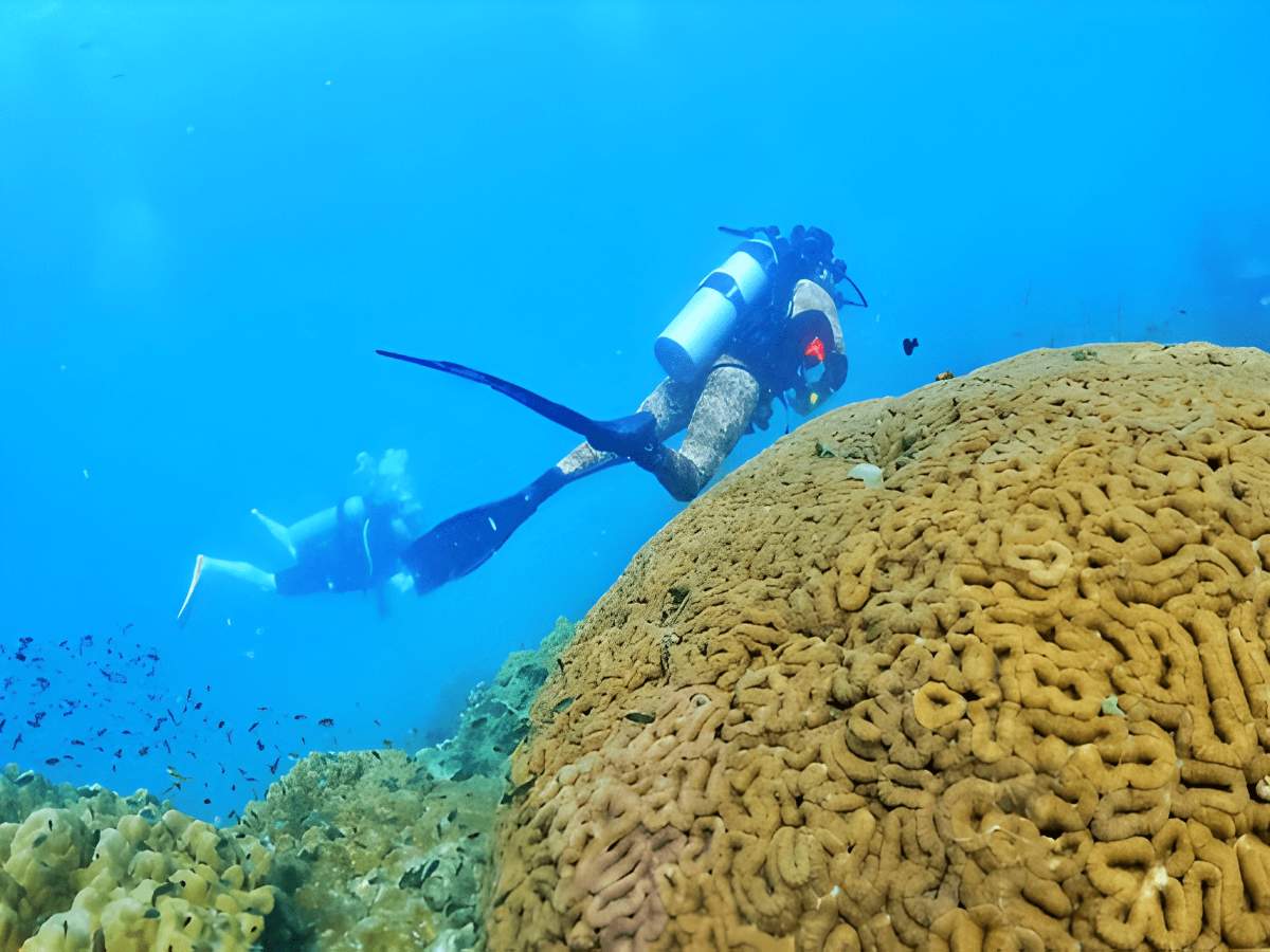 Hoạt động snorkeling và diving phổ biến khi lặn ngắm san hô Phú Quốc.