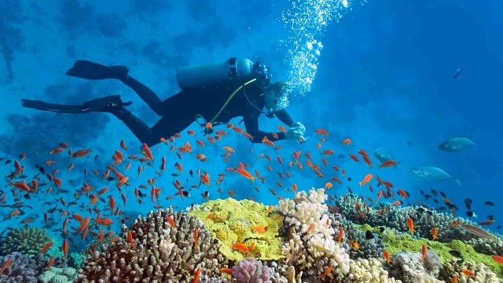 visitphuquoc