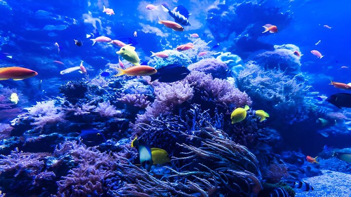visitphuquoc